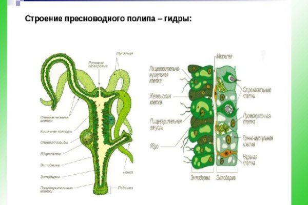 Свежие ссылки кракен