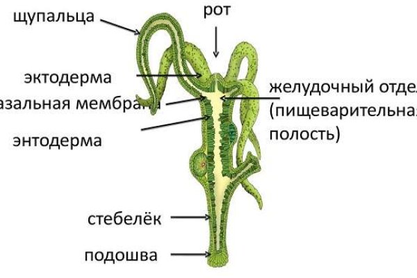 Кракен современный даркнет