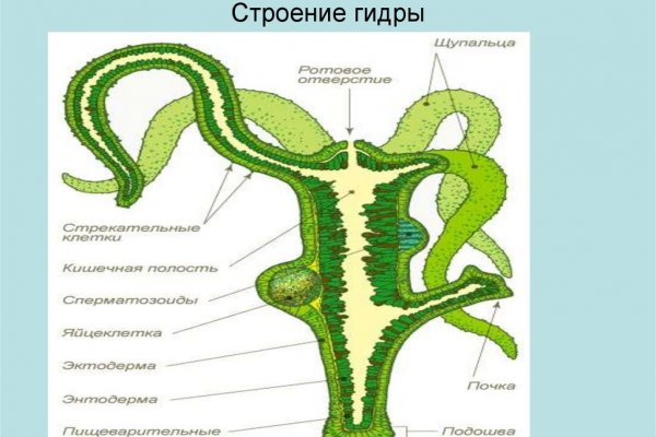 Кракен в обход